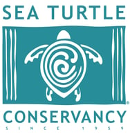 logo Sea Turtle Conservancy