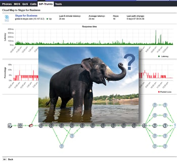SIP trunks screenshot and elephant