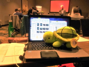 photo-NFD20-hashtag-event-turtle