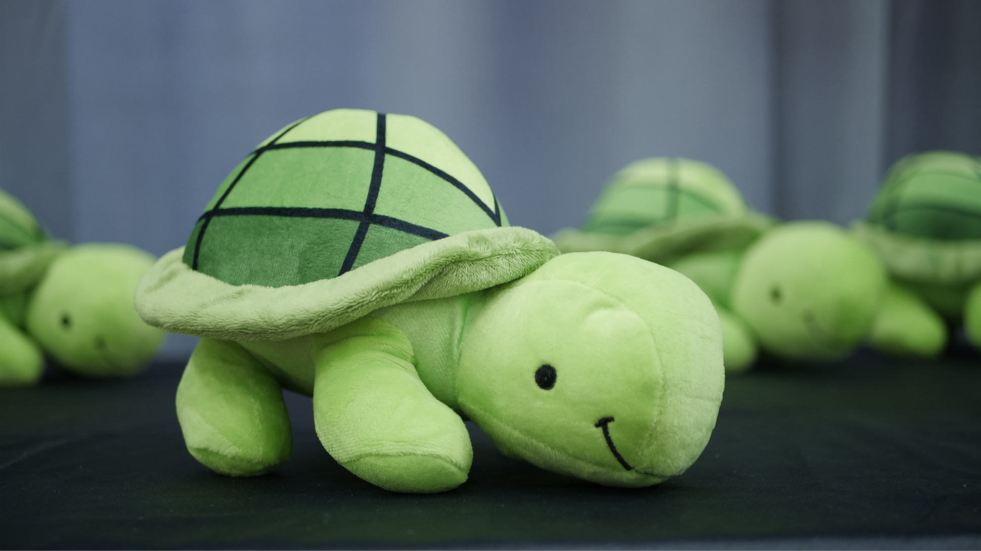 layer-stuffie-turtle_lg